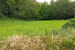 RGE 79/2024 Trib Pavia - LOTTO 3