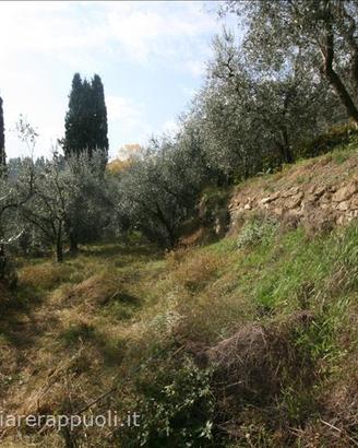 CA57 - Sinalunga terreno di metri 780 con
