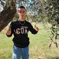candidato raccolta olive