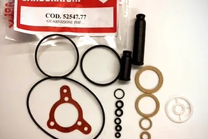 Kit guarnizione carburatore Dellorto PHF