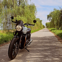 Triumph street twin 900