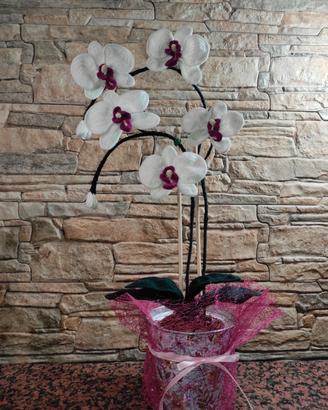 orchidea uncinetto 