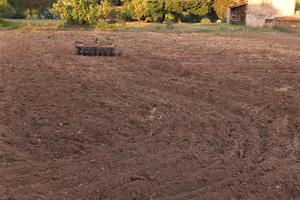 Orto di mq 6700 a 3 km da Porta Faul Viterbo