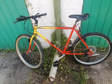 bici uomo mtb. 