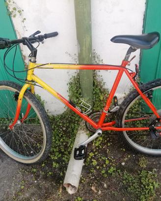 bici uomo mtb. 