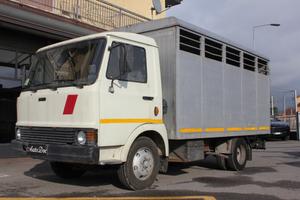 FIAT 50.10 Trasporto Animali Vivi Diesel Allestime