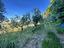 Immagine 14