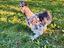 Immagine 1