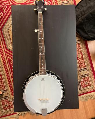 Banjo 5 corde