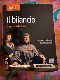 Il Bilancio Maggioli Editore