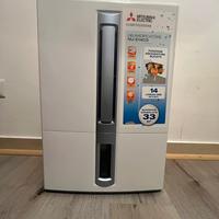 Mitsubishi deumidificatore