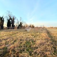 TER. AGRICOLO A CAMPOFORMIDO