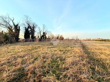 TER. AGRICOLO A CAMPOFORMIDO