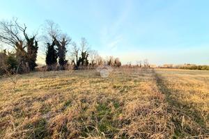 TER. AGRICOLO A CAMPOFORMIDO