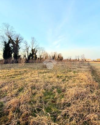 TER. AGRICOLO A CAMPOFORMIDO