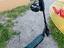 Immagine 2