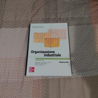 organizzazione industriale