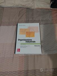 organizzazione industriale