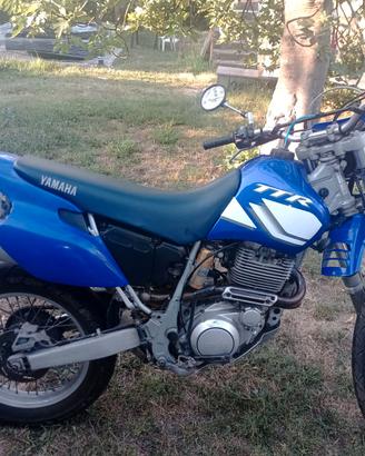 Yamaha TT600R del 1999 Iscritta FMI