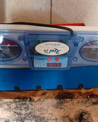 incubatrice l 24 cobotto 
