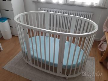 culla evolutiva stokke