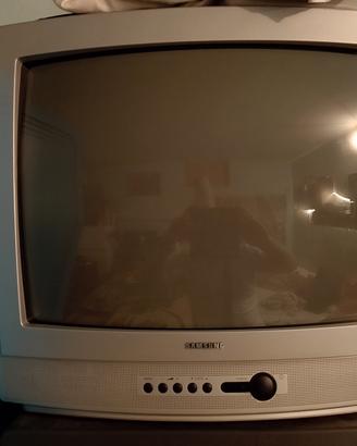 TV Samsung tubo catodico con telecomando 