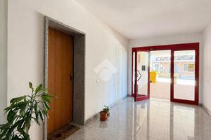 3 LOCALI A ORTE