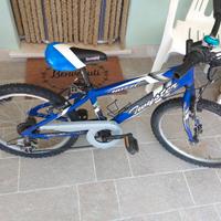 Bicicletta
