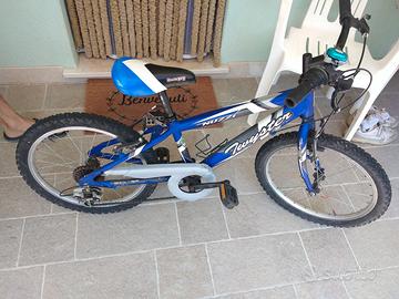Bicicletta