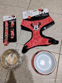 Pettorina Disney