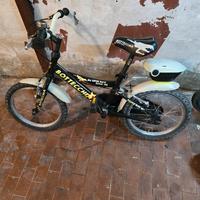 bici bottecchia 20