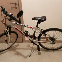 MTB bicicletta STUCCHI BADBOY 24