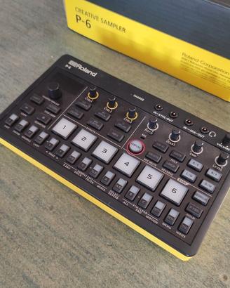 Roland Aira P6 Sampler