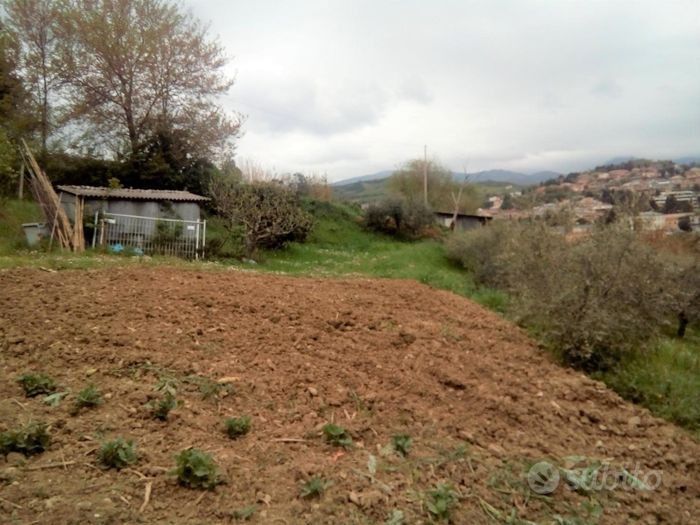 Terreno agricolo - Vista 4