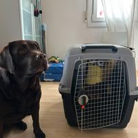 Trasportino per Cani