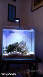 Acquario marino Aqpet Kubo Reef