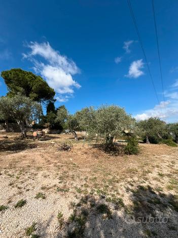 Terreno monte oro