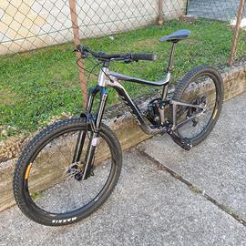 Giant Reign 1 2021