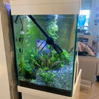 Acquario 220 lt