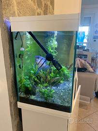 Acquario 220 lt