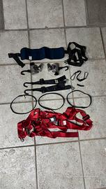 Cintura di sicurezza auto per carrozzina disabili