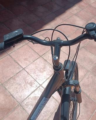 bicicletta elettrica 