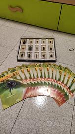 RBA Insetti da tutto il mondo