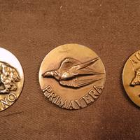 3 medaglie Brivio, Stagioni, MINGUZZI