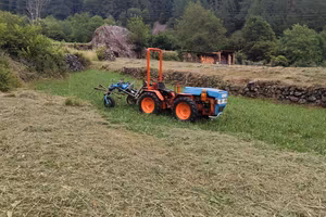 Trattore Pasquali  959