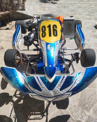 kart 125 vortex