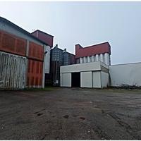 RGE 359/2024 Trib Pavia