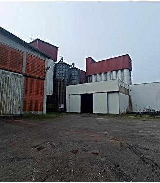 RGE 359/2024 Trib Pavia