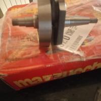 Albero Mazzucchelli vespa