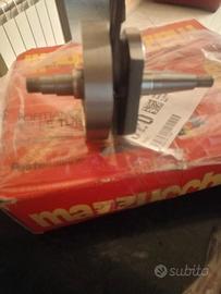 Albero Mazzucchelli vespa